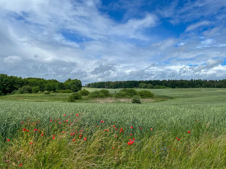 Das Studio Uckermark