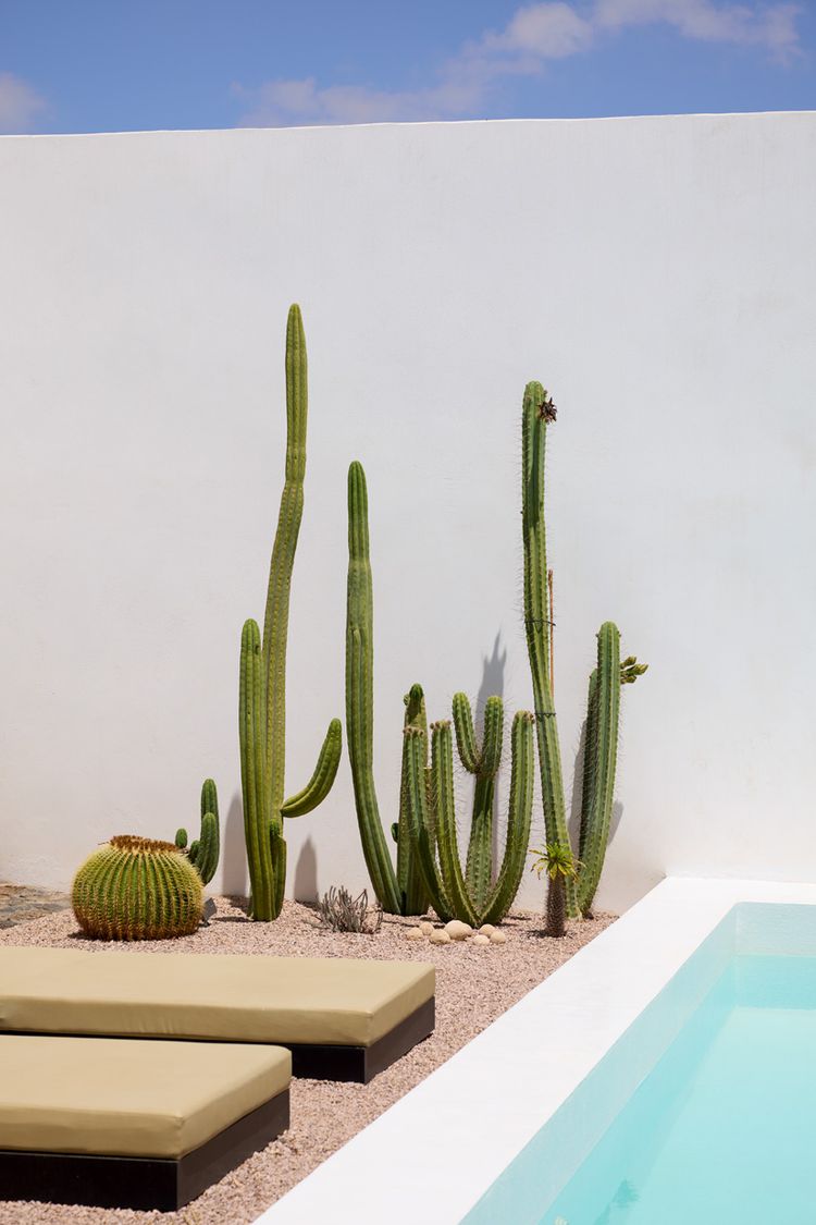 Casa Mon­te­longo