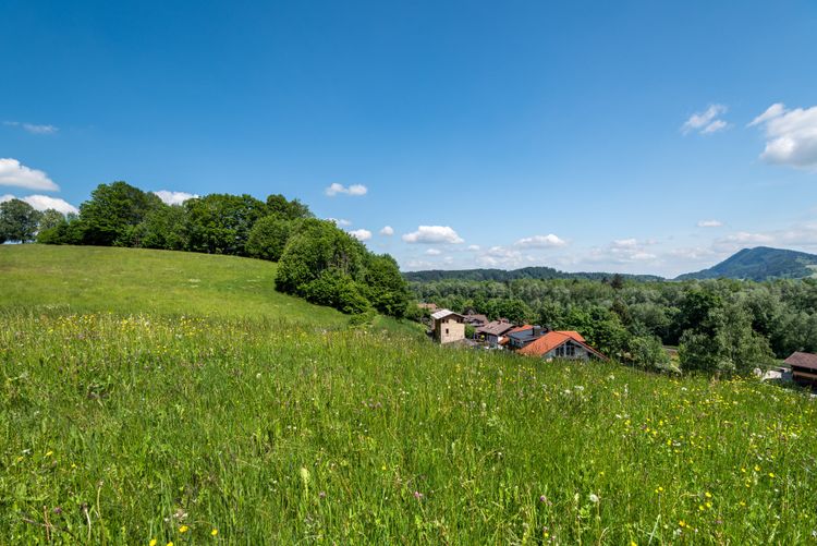 Archi­tek­ten­hütte Allgäu